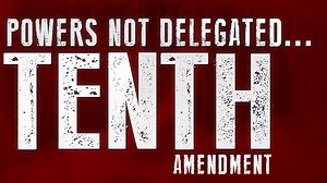 “The powers not delegated to the United States by the Constitution, nor prohibited by it to the States, are reserved to the States respectively, or to the people.” #constitution #10thAmendment #founders #liberty | Tenth Amendment Center