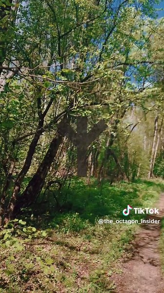 #141 #nature #russia #savenature #naturelove #based #base #algiz #agartha