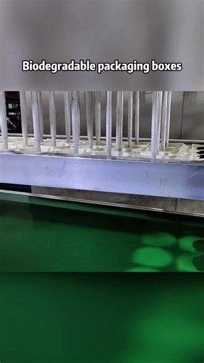 We are a packing box manufacturer. Providing compostable takeout food containers. Please follow to connect with the factory. #Foodpackaging #biodegradable #packaging #tableware #factory