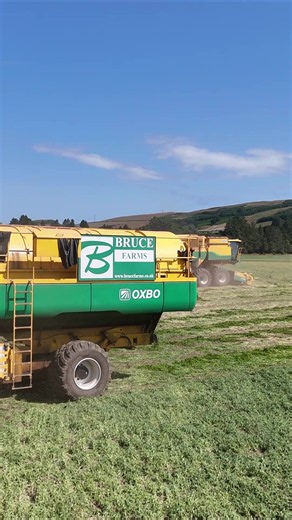Bruce Farms Harvesting Peas: John Deere Plower in Action