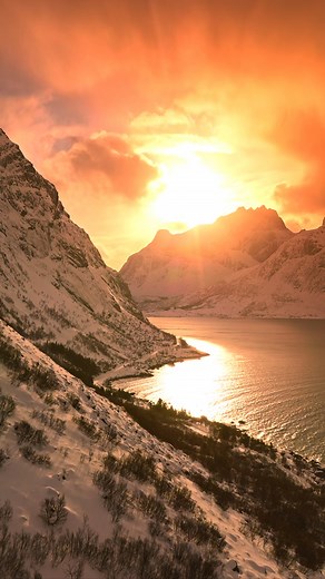 21K views · 38K reactions | Winter in the north stays with you. Sharp...