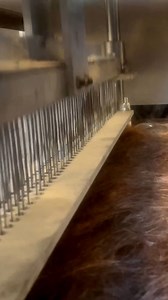 What started in one San Francisco warehouse is now a worldwide movement! 🌍 Our Hair Mats program has inspired people across the globe to set up their own “felting hubs” and keep the momentum going. Matter of Trust’s vision is to establish 300 satellite hair mat hubs by 2030 – that way, communities everywhere can turn their local hair waste into local environmental solutions without having to ship everything to us. It’s all about decentralizing and empowering others. We’re well on our way: as of