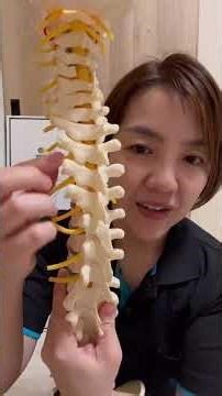 【一緒に学ぼう】骨盤がズレるとどうなる？背骨を整えることが大切な本当の理由#男の子のママ #セルフ整体 #整体 #整える習慣 #整える時間 #ストレッチ #カイロプラクティック #骨盤 #背骨