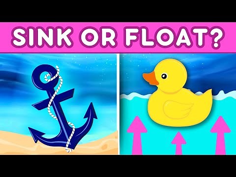 SINK OR FLOAT Fun Game For Kids | Have Fun Learning About Density