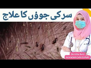 Head Lice in Children: Causes, Treatment & Prevention | Dr Hina Baig