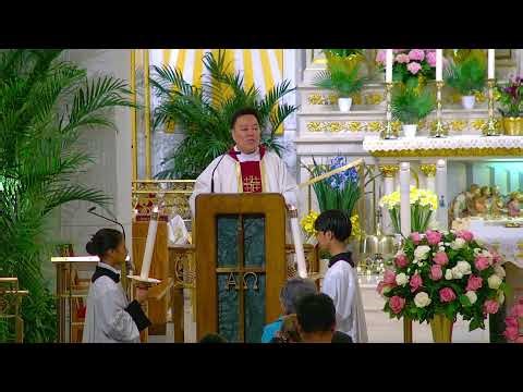 4-18-2026 - 3rd Sunday of Easter - 5PM Vigil Mass