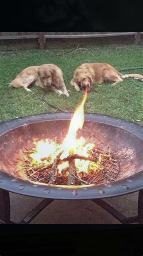 perfect things part #89😇