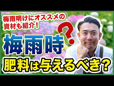【園芸の基本】梅雨時に肥料は与えても良いの？梅雨時と梅雨明けの施肥管理とは？〜梅雨に注意すべき植物の管理方法について徹底解説！～【園芸塾】【ハイポネックス】