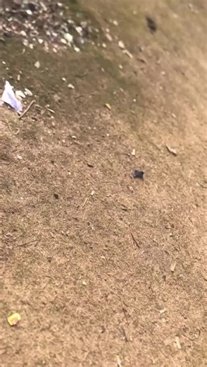 second vlog 😘🤌🏻 #connectnepalgunj #vlogvideo #export @Little Gang 🤙 @𝐖*** 𝐓** 𝐅*** @👀