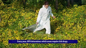 Our staff regularly conduct tick dragging to monitor tick populations & to test for #LymeDisease Cases of Lyme disease in humans are reported to OPH & monitored OttawaPublicHealth.ca/LymeDisease Ticks are small & not easy to see which is why you should perform a full body #TickCheck | Ottawa Public Health | Facebook