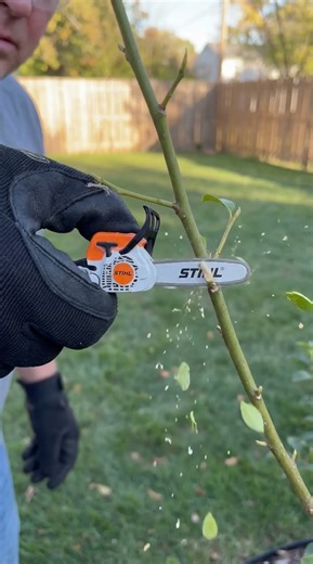 The smallest chainsaw you’ll ever see #microtools #tinytools #miniature #chainsaw #woodworking