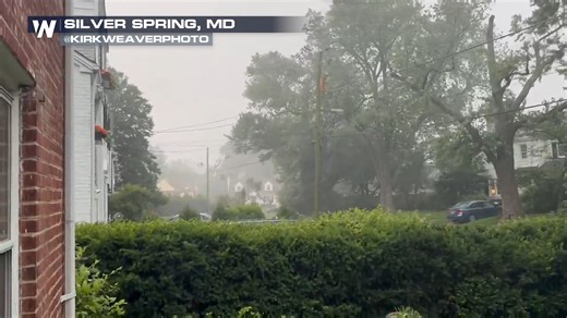 126K views · 700 reactions | Caught on camera: A tree branch crashes onto a power line during a storm in Maryland on Thursday. Just one example of how quickly severe weather can turn dangerous. Always stay alert! ⚡ | WeatherNation | Facebook