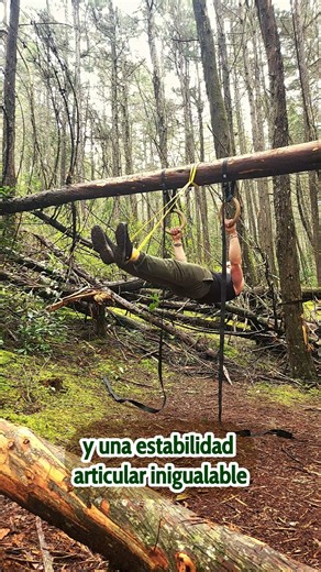 Journey to the Next Level: Front and Back Lever Progress