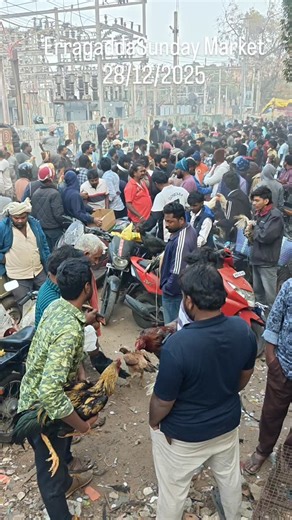 Md Farooq Ali on Instagram: "Sunday Market Hyderabad##top_aseel_farm_hyd_01"