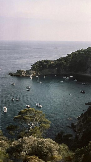 frankie | would you try it? 🫧 | Instagram