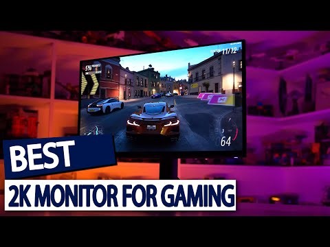 Best 2K Gaming Monitor 2025? (Top 5 For PC Gaming!)