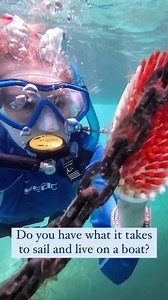 4.9K views · 26 reactions | Behind the scenes of our paradise sailing adventures⛵️Fixing, cleaning, maintaining - but wouldn't trade any of this for my dreamy life on the sea! : Workawayer Sanja @_immortalangel #sailboat #boatlife #sailing #caribbean #caribbeansea #cruising #travel | Workaway | Facebook