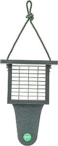 Suet Feeder with Tail Prop Color Pop Collection in Evergreen Recycled Plastic