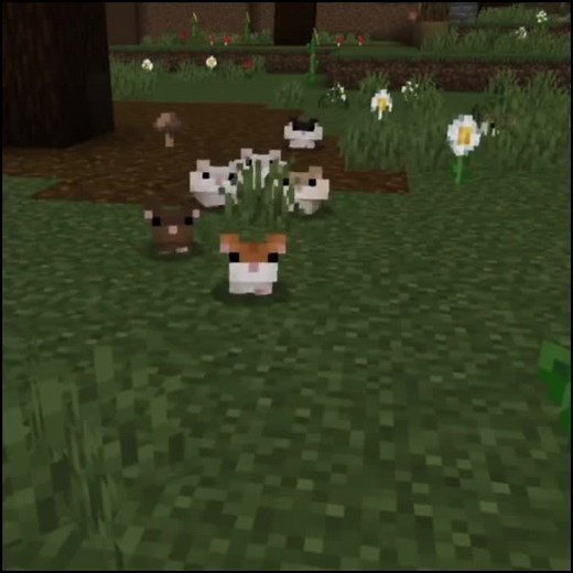 nahhh#fypgakni #fyp #superfypppp #dwelers #mod #minecraft