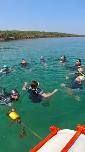 Conquer Your Fear: Open Water Swimming Lessons for Adults