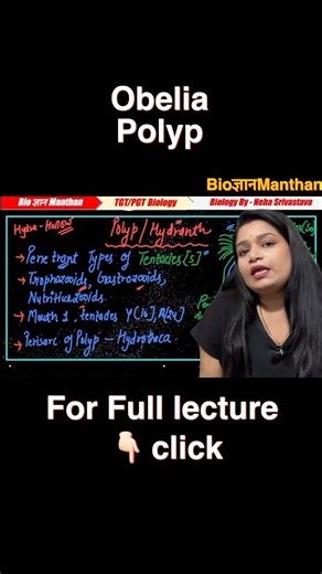 Obelia Polyp Explained in 20 Sec | Coelenterata / Cnidaria Biology Short | TGT PGT #viral #shorts