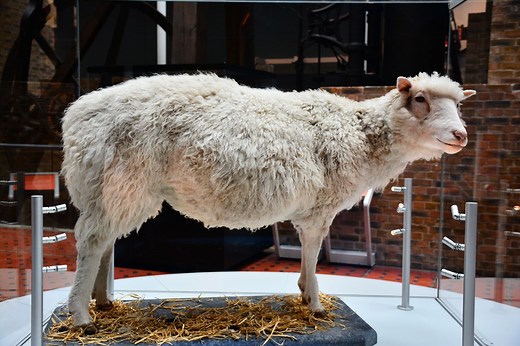 Why Scientists Kept the Birth of Dolly, the World’s First Cloned Mammal, a Secret for Seven Months