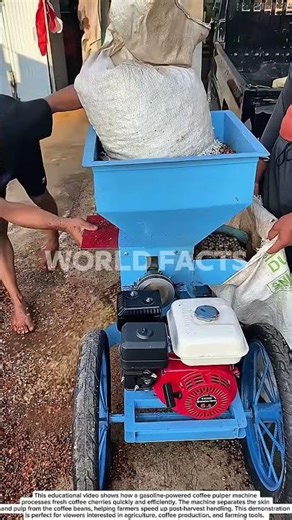 Coffee Cherry Peeling Machine – Fast Coffee Processing Demonstration