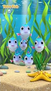 Aqatic Animal /Fish names in English with music and song