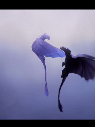 Toothless and Luna's Adorable Scene | How to Train Your Dragon