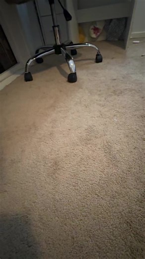 Trading Fidget Food Packs: The Avocado Dilemma