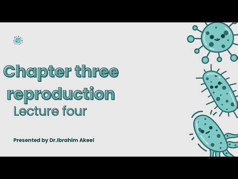 Chapter three /Reproduction /lecture four / reproduction in Bacteria