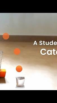 Student Project | Innovation & STEM Education | Catapult