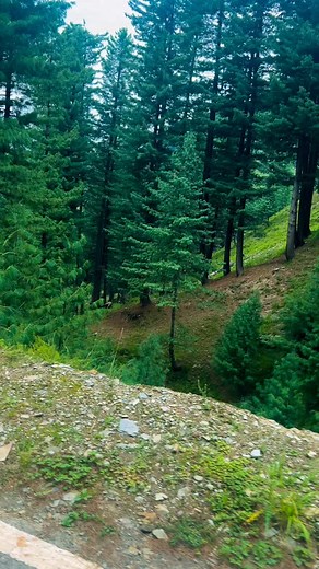 2.8K reactions · 195 shares | Gigantic view #foryou #mountains #instagram #view #share #kashmir | Beautiful Valley | Facebook