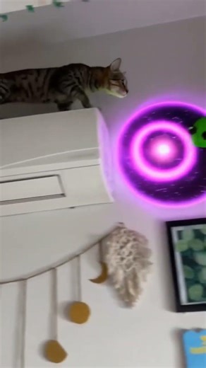 This Alien Picked The Wrong Cat 💀