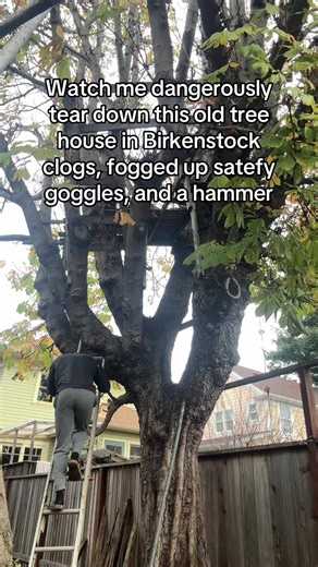 OSHA approved #teardown #treehouse #build