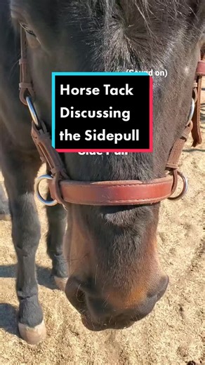 Understanding Sidepull Horse Tack for Better Fit