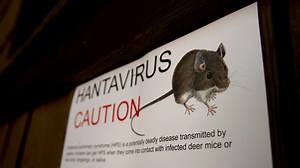 What is hantavirus, and how do you get rare infectious disease?