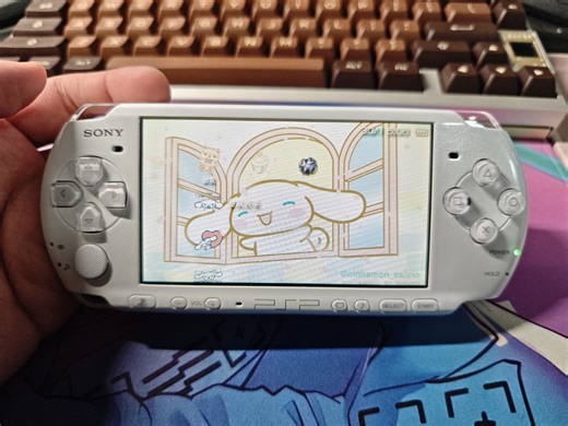整个 psp3000收藏玩