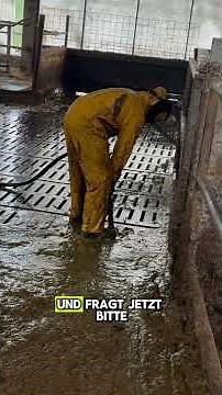 Mit dem Spülwagen gegen Kuhmist #landwirtschaft #bauernhof
