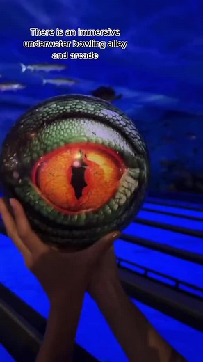 223K views · 5.9K reactions | There is an immersive, underwater themed bowling alley with an arcade and nautical themed bar in #roundrocktx. Uncle Buck's Fish Bowl and Grill is THE coolest bowling alley/arcade combo in #texas #travel #travelblogger | My Curly Adventures | Facebook