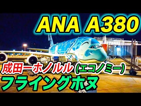 【世界最大】ANAエアバスA380フライングホヌにて、ハワイ・ホノルルへ！サイズも快適性も圧倒的すぎて感動！[ANA海外発券で台湾・ハワイ#6]