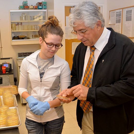 Undergraduate Research - Oklahoma State University
