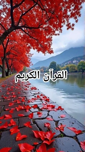 QURAN URDU TRANSLATION.......