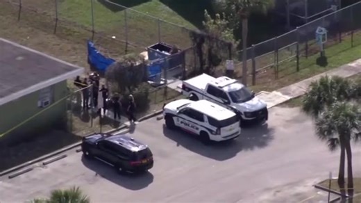 Woman found dead near dumpster next to Fort Lauderdale apartments, being investigated as homicide - WSVN 7News | Miami News, Weather, Sports | Fort Lauderdale