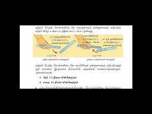 Grade 7 Science Unit 2.2 Tamil medium