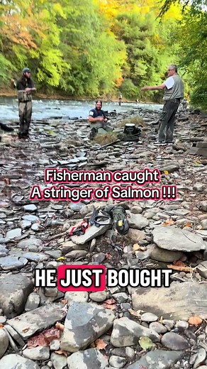 Peaceful Salmon Fishing Adventures on the Salmon River
