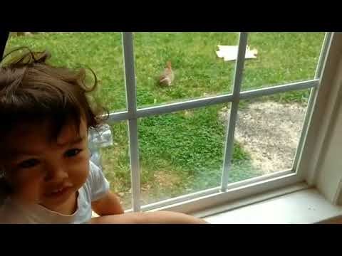 Toddler Sees a Rabbit for the First Time 👀🐇