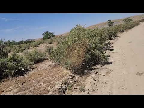 Day 171. August in the Desert. California Chrome's American Discovery Trail Thru-hike.