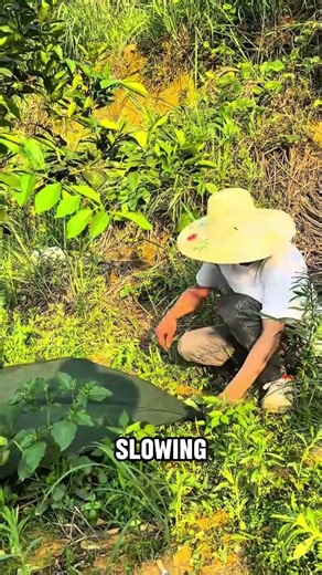 China Weed Block Fabric