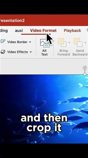 This PowerPoint got 14 MILLION Views on TikTok📊🔥 #powerpoint #tutorial #powerpointtipsandtricks